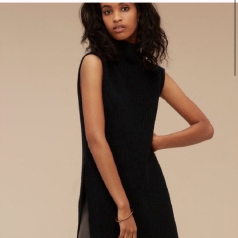 Aritzia Durandal sleeveless turtleneck
